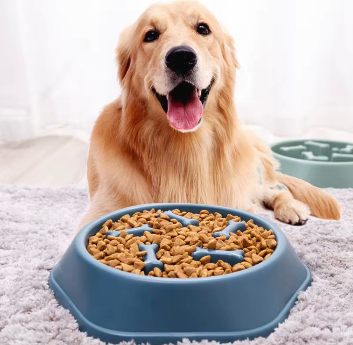 Slow feeder dog bowl