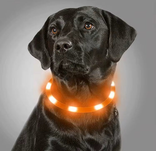 LED Luminous Pet Collar